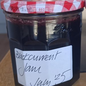 Section E: DOMESTIC CLASSES -E2 A Jar of Jam or jelly (any fruit )