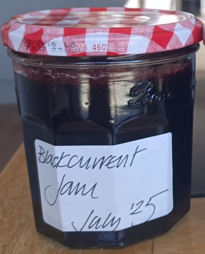 Section E: DOMESTIC CLASSES -E2 A Jar of Jam or jelly (any fruit )