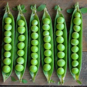 Section A: VEGETABLE CLASSES - A14 Six pods of peas