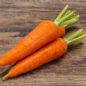 Section A: VEGETABLE CLASSES - A12 Three even length carrots