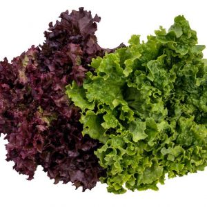 Section A: VEGETABLE CLASSES - A13 Two lettuce any type