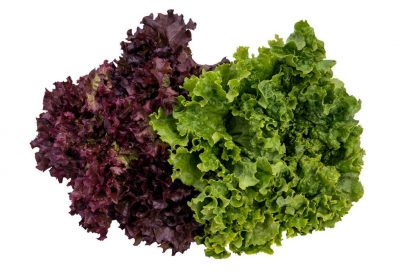 Section A: VEGETABLE CLASSES - A13 Two lettuce any type