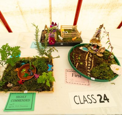 Section H: CHILDRENS CLASSES -H10 (6 and under) Miniature garden on a tray or  plate no bigger than 32cm * 42cm