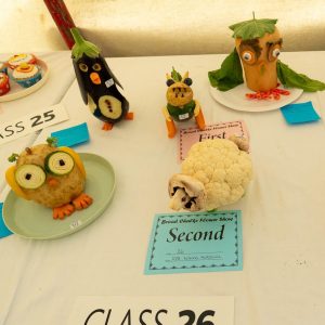 Section H: CHILDRENS CLASSES -H12 (6 and under) A vegetable animal