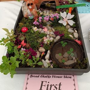 Section H: CHILDRENS CLASSES -H10 (6 and under) Miniature garden on a tray or plate no bigger than 32cm x 42cm