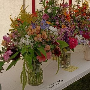 Section C: FLOWER CLASSES - C4 A vase of garden flowers