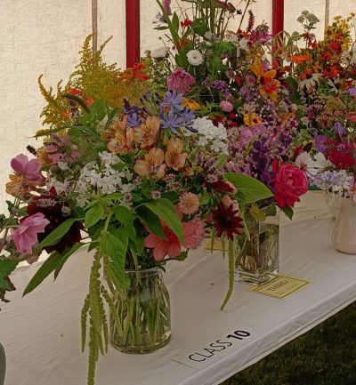 Section C: FLOWER CLASSES - C4 A vase of garden flowers