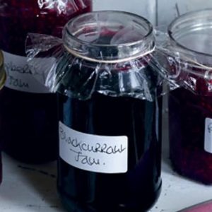 Section E: DOMESTIC CLASSES -E2 A Jar of Jam or jelly (any fruit )