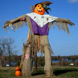 Section J: SCARECROW CLASS - J1 A fit for purpose scarecrow